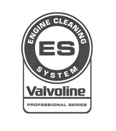 ES ENGINE CLEANING SYSTEM VALVOLINE PROFESSIONAL SERIES