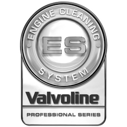 ES ENGINE CLEANING SYSTEM VALVOLINE PROFESSIONAL SERIES logo