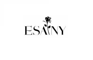 ESAINY logo