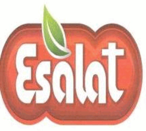 ESALAT logo
