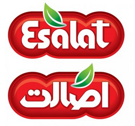 ESALAT logo