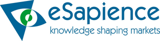 ESAPIENCE KNOWLEDGE SHAPING MARKETS logo