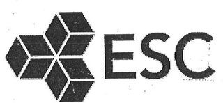 ESC logo