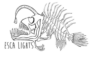 ESCA LIGHTS logo