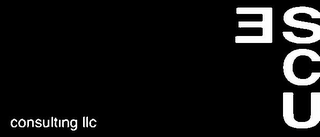 ESCU CONSULTING LLC logo