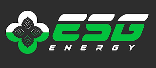 ESG ENERGY logo