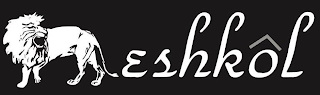 ESHKOL logo