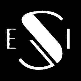 ESI logo