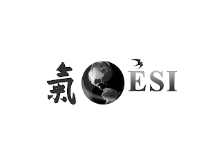 ESI logo