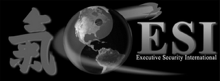 ESI EXECUTIVE SECURITY INTERNATIONAL logo