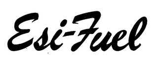 ESI-FUEL logo