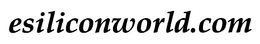 ESILICONWORLD.COM logo