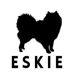 ESKIE logo