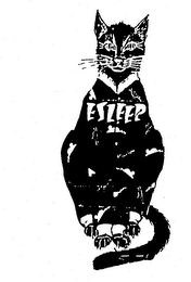 ESLEEP logo