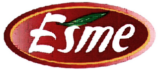 ESME logo