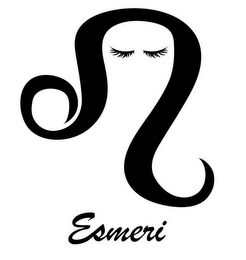 ESMERI logo
