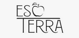 ESO TERRA logo