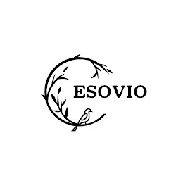 ESOVIO logo