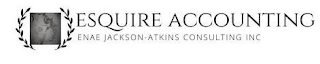 ESQUIRE ACCOUNTING ENAE JACKSON-ATKINS CONSULTING INC logo