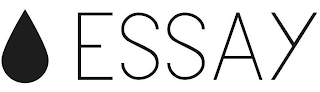 ESSAY logo