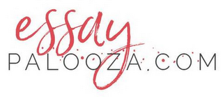 ESSAYPALOOZA.COM logo