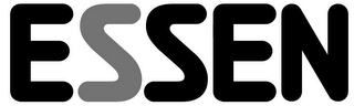 ESSEN logo