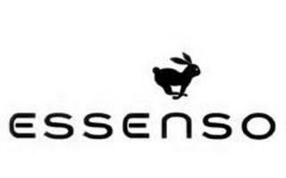 ESSENSO logo