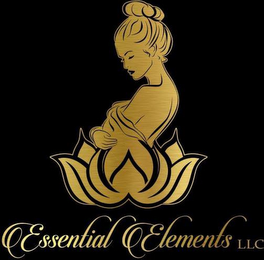 ESSENTIAL ELEMENTS LLC logo