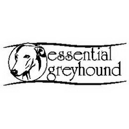 ESSENTIAL GREYHOUND logo