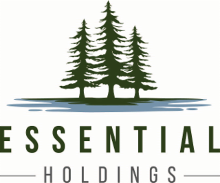 ESSENTIAL HOLDINGS logo