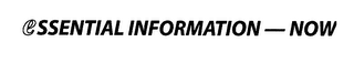 ESSENTIAL INFORMATION NOW logo