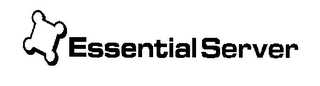 ESSENTIAL SERVER logo