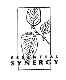 ESSENTIAL SYNERGY