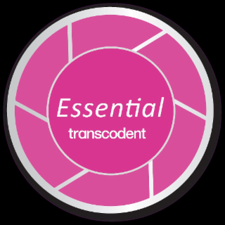 ESSENTIAL TRANSCODENT logo