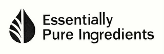 ESSENTIALLY PURE INGREDIENTS logo
