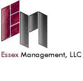 ESSEX MANAGEMENT, LLC EM logo