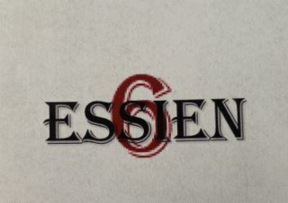 ESSIEN 6 logo
