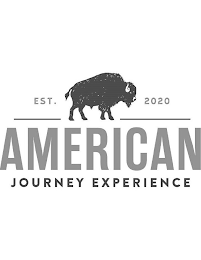 EST. 2020 AMERICAN JOURNEY EXPERIENCE logo