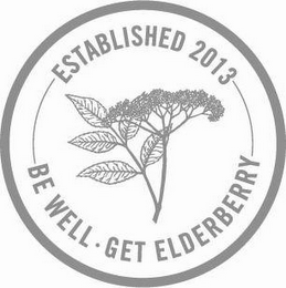 ESTABLISHED 2013 BE WELL GET ELDERBERRY logo