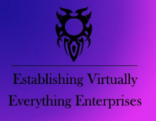 ESTABLISHING VIRTUALLY EVERYTHING ENTERPRISES logo