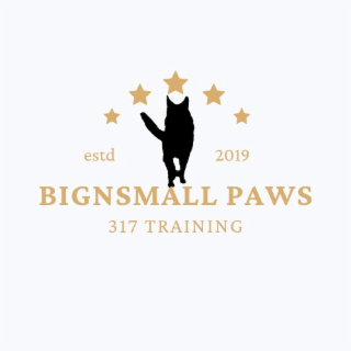 ESTD 2019 BIGNSMALL PAWS  317 TRAINING logo