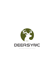 ESTD, USA, 2020, DEERSYNC, AND BEYOND EXPECTATIONS logo