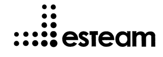 ESTEAM logo