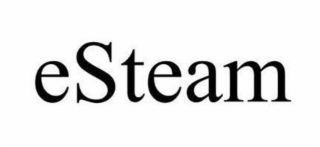 ESTEAM logo