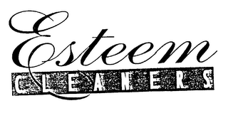 ESTEEM CLEANERS logo