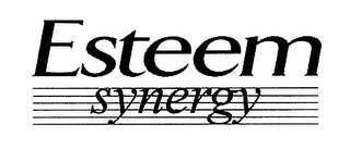 ESTEEM SYNERGY logo