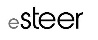 ESTEER logo