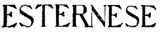 ESTERNESE logo