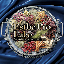 ESTHE PRO LABO FOR ESTHETIC PROFESSIONAL USE logo