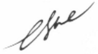 ESVE logo